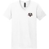 Scary Badgers Softstyle V-Neck T-Shirt