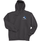 Pittsburgh Huskies Super Heavyweight Fleece Hoodie